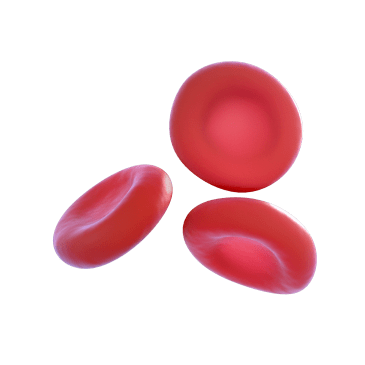 Red Blood Cells