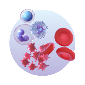 Explore Types of Blood Cells